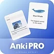 خرید اکانت Anki Pro