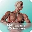خرید اکانت و اشتراک Teach Me Anatomy تیچ می آنتومی پرمیوم