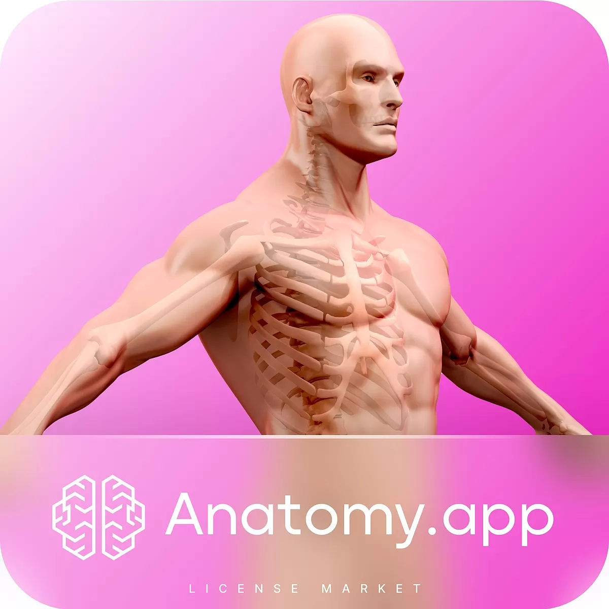 خرید اکانت Anatomy app روی ایمیل شما (با 91% تخفیف)
