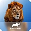 خرید اشتراک ABCmouse پرمیوم