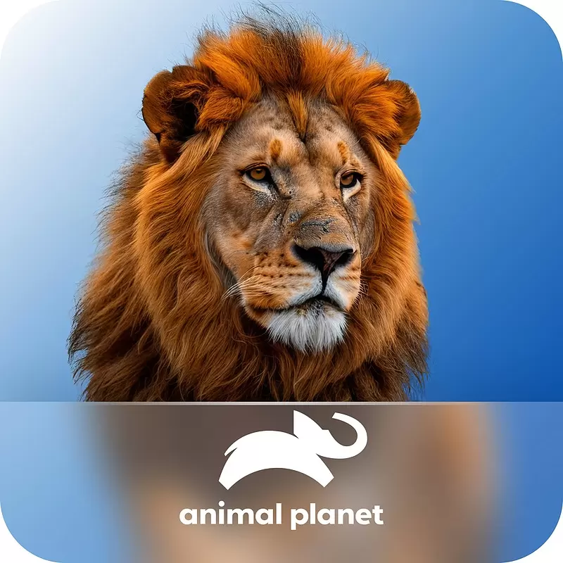 خرید اشتراک ABCmouse پرمیوم