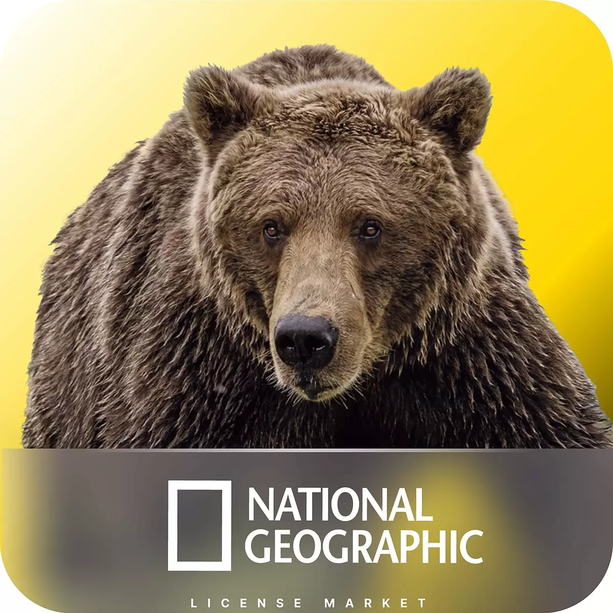 خرید اکانت شبکه National Geographic نشنال جئوگرافیک
