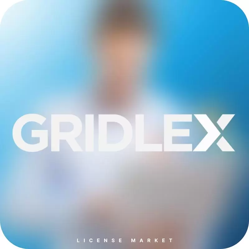خرید اشتراک Gridlex گریدلکس پرمیوم